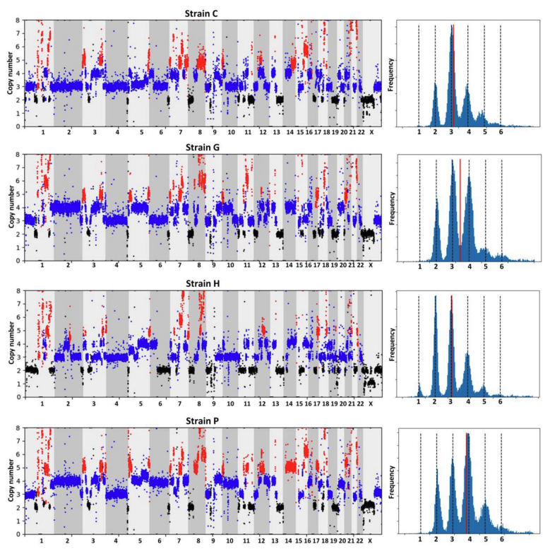 AStra example: genome-wide aneuploidy profiles and spectra for MCF7 strains