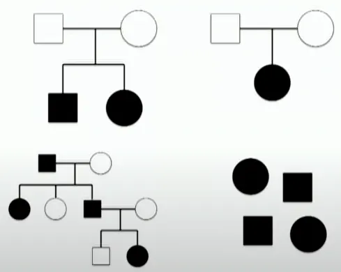 Tipos de famílias estudadas