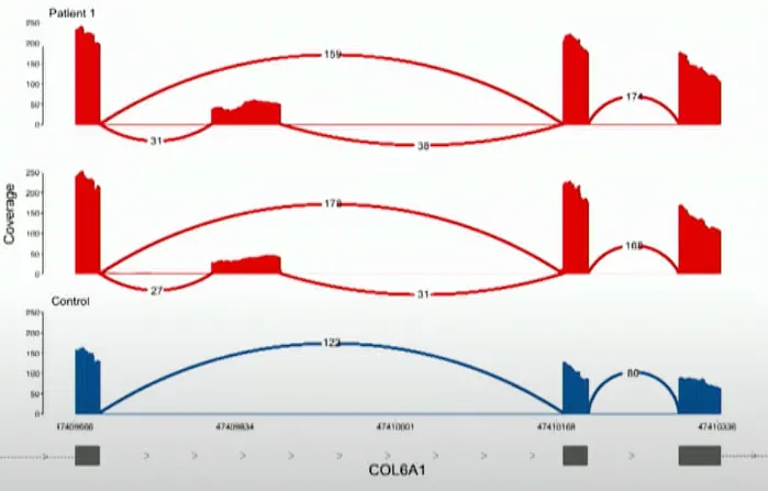 Gráfico de sashimi COL6A1